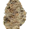 Rainbow, bal ve çiçek aromalarıyla tatlı, Indica baskın bir türdür. Ruh halini iyileştiren etkileriyle öne çıkar. Genetik yapısını keşfedin.