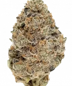 Rainbow, bal ve çiçek aromalarıyla tatlı, Indica baskın bir türdür. Ruh halini iyileştiren etkileriyle öne çıkar. Genetik yapısını keşfedin.