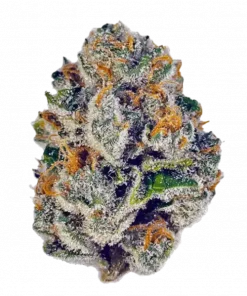 Rainbow Belts, keskin limon aroması ve dengeli yapısıyla öne çıkan hibrit bir türdür. Indica ve Sativa genetiğini keşfedin, rahatlatıcı etkilerini görüntüleyin.