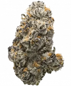 Rainbow Belts 2.0, kimyasal limon aroması ve tatlı şeker notalarıyla öne çıkan dengeli bir hibrit türdür. Enerjik etkilerini ve genetik yapısını keşfedin.