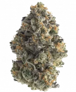 Rainbow Belts 3.0, tatlı meyve aromaları ve dengeli etkisiyle öne çıkan bir türdür. Depresyon ve anksiyeteye karşı potansiyel faydalarını keşfedin. Hemen görüntüleyin.