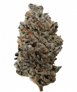 Rainbow Beltz 3.0 V2, tatlı meyvemsi aroması ve dengeli etkisiyle öne çıkan bir hibrit türdür. Benzersiz lezzet profilini ve faydalarını keşfedin.