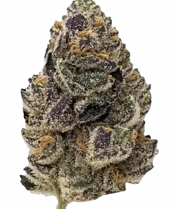 Rainbow Chip, nane ve çikolata aromalı, yüksek THC'li dengeli bir hibrit türdür. Yaratıcılığı artıran bu türün genetik yapısını keşfedin ve etkilerini görüntüleyin.