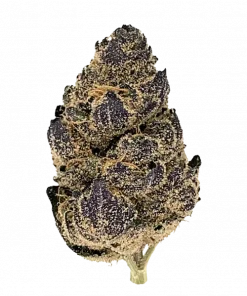Rainbow Gelato, vanilya aromalı ve yüksek THC'li Indica dominant bir türdür. Mutluluk ve rahatlama sunar. Bu eşsiz türün genetik yapısını keşfedin.