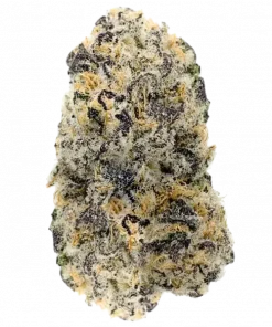 Rainbow Guavè, tatlı tropikal aroması ve dengeli genetiğiyle öne çıkan hibrit bir türdür. Uyku sorunları için ideal. Bu eşsiz türü keşfedin.