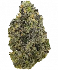 Rainbow Jelly #41, tropikal meyve aromaları ve dengeli etkisiyle öne çıkan bir hibrit türdür. Anksiyete ve depresyona iyi gelir. Özelliklerini keşfedin.