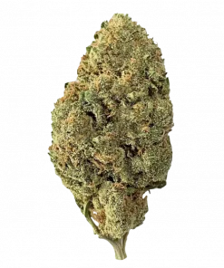 Rainbow Melon, tatlı kavun aromasıyla öne çıkan dengeli bir hibrit türüdür. Rahatlatıcı ve canlandırıcı etkileri keşfedin. Genetik yapısını görüntüleyin.