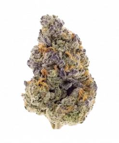 Rainbow Push Pop, tatlı orman meyveleri aroması ve yüksek THC içeriğiyle bilinen Indica dominant bir türdür. Rahatlatıcı etkilerini keşfedin ve genetik yapısını inceleyin.