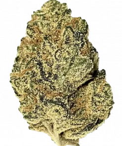 Rainbow Road, mango aroması ve THC ile öne çıkan Sativa baskın bir türdür. Canlandırıcı etkileriyle bilinen bu türü keşfedin.