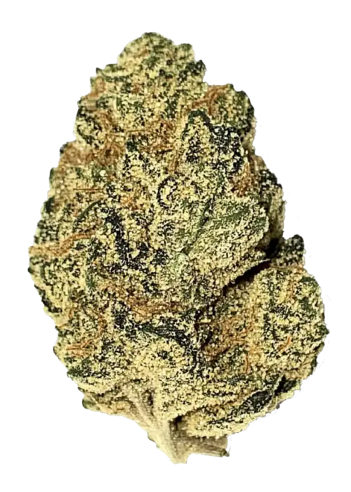 Rainbow Road, mango aroması ve THC ile öne çıkan Sativa baskın bir türdür. Canlandırıcı etkileriyle bilinen bu türü keşfedin.