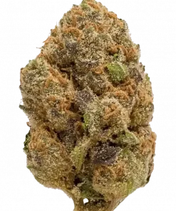 Rainbow Runtz, lavanta aroması ve dengeli genetiğiyle öne çıkan bir hibrit türdür. Zihinsel coşku ve rahatlatıcı etkileri keşfedin. Hemen görüntüleyin.