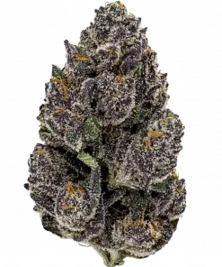 Rainbow Sugar, tatlı meyve aromaları ve yüksek THC içeriğiyle bilinen Indica dominant bir türdür. Derin rahatlama ve uyku için ideal. Özelliklerini keşfedin.