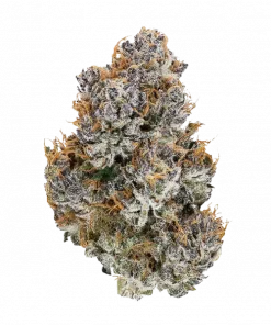 Rainbow Swirl, tatlı meyve aromaları ve rahatlatıcı etkisiyle bilinen Indica baskın bir türdür. Yüksek verimli genetik yapısını keşfedin ve detaylı özelliklerini görüntüleyin.