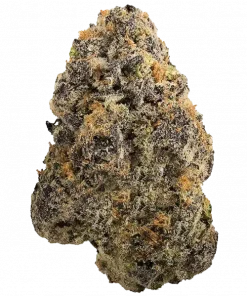 Rainbow Trout, sert yakıtımsı aroması ve yüksek THC içeriğiyle bilinen indica baskın bir türdür. Yaratıcı etkilerini ve genetik yapısını keşfedin.