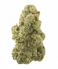 Rainbow Warz, tatlı narenciye aromaları ve dengeli etkisiyle öne çıkan bir hibrit türdür. Yüksek verimiyle dikkat çeken bu türü hemen keşfedin.