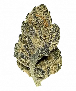 Rainbow Zkittlez, tatlı üzüm aroması ve yüksek THC içeriğiyle öne çıkan Indica baskın bir türdür. Ağrı ve stresi hafifletmek için Rainbow Zkittlez'i keşfedin.