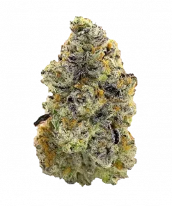 Rainbows and Cherries, tatlı aroması ve yüksek THC içeriğiyle öne çıkan Sativa baskın bir türdür. Uykusuzluk ve stresi azaltan etkilerini keşfedin.