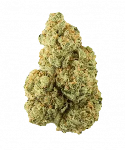 Ramune, tatlı limon aromaları ve rahatlatıcı etkisiyle bilinen Indica baskın bir türdür. Yüksek verimli bu türün genetik yapısını keşfedin ve detaylıca görüntüleyin.