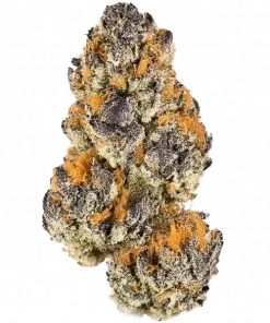 Raspberry Cough, ahududu aroması ve enerji verici etkisiyle bilinen sativa baskın bir türdür. Genetik yapısını ve potansiyel faydalarını keşfedin.