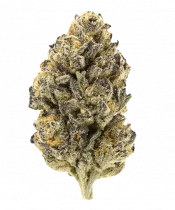 Raspberry Lemonade, tatlı meyve ve narenciye aromalarıyla öne çıkan Sativa baskın bir türdür. Yüksek THC içeriğiyle yaratıcılığı keşfedin ve etkilerini görüntüleyin.