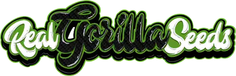 Real Gorilla Seeds
