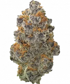 Red Banana Pudding, tatlı muz aroması ve yüksek THC içeriğiyle bilinen Indica dominant bir türdür. Ağrı ve stresi azaltmak için ideal. Hemen keşfedin.