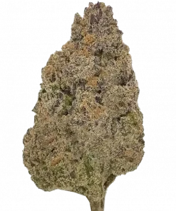 Red Crack, turunçgil aromaları ve dengeli etkileriyle öne çıkan bir türdür. Yaratıcılığı artıran ve rahatlama sağlayan bu türü keşfedin.