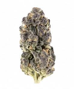 Red Eye, yakıtımsı ve üzüm aromalarıyla öne çıkan Indica baskın bir türdür. Yüksek THC içeriğiyle dikkat çeken bu türün genetik yapısını keşfedin ve etkilerini görüntüleyin.