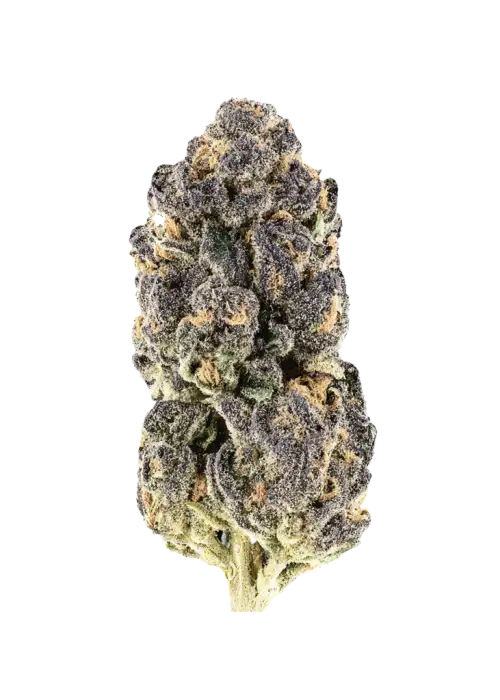 Red Eye, yakıtımsı ve üzüm aromalarıyla öne çıkan Indica baskın bir türdür. Yüksek THC içeriğiyle dikkat çeken bu türün genetik yapısını keşfedin ve etkilerini görüntüleyin.