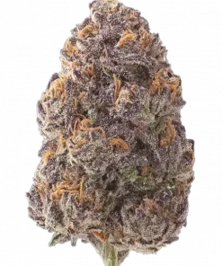 Red Mandarine F1, tatlı mandalina aroması ve dengeli etkisiyle öne çıkan indica dominant bir türdür. Stres ve iştahsızlıkla başa çıkmak için ideal. Özelliklerini keşfedin.