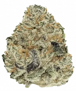 Red Runtz, tatlı meyve aroması ve yüksek THC içeriğiyle öne çıkan dengeli bir hibrit türdür. Benzersiz genetik yapısını ve keyifli etkilerini keşfedin.