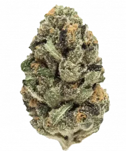 Red Velvet, krema ve çikolata aromalı, yüksek THC'li Indica baskın bir türdür. Yaratıcılığı artıran bu eşsiz türün genetik yapısını keşfedin.