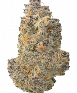 Red Zushi Sundae, tatlı çilek aroması ve dengeli etkisiyle öne çıkan indica baskın bir türdür. Yaratıcılığı destekleyen bu özel türü keşfedin.