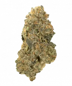 Redneck Wedding, yakıtımsı ve limon aromalarıyla öne çıkan güçlü bir indica türüdür. Yüksek THC içeriğiyle derin rahatlama sağlar. Genetik yapısını keşfedin.