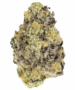 Ridgeline Runtz, tatlı narenciye aromaları ve yüksek THC içeriğiyle öne çıkan Indica baskın bir türdür. Yoğun rahatlama ve potansiyel faydalarını keşfedin.