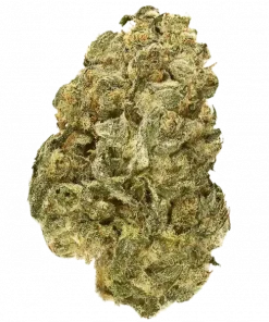 Ripper Haze, yüksek THC ve belirgin limon aromasıyla öne çıkan sativa baskın bir türdür. Enerjik etkileri ve genetik yapısını keşfedin.