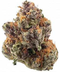 Rootbeer Jelly Roll, üzüm aromalı ve yüksek THC içeren güçlü bir hibrit türdür. Stres ve iştahsızlıkla mücadelede etkilidir. Özelliklerini keşfedin.