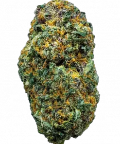 Rope Fuel, yakıtımsı aroması ve yüksek THC içeriğiyle öne çıkan dengeli bir hibrit türdür. Ağrı ve stresi azaltan etkilerini keşfedin ve hemen inceleyin.