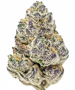 Rose Gold Runtz, kremsi yaban mersini aroması ve 'ye varan THC oranıyla öne çıkan dengeli bir hibrit türdür. Yaratıcılığınızı artırın ve etkilerini keşfedin.