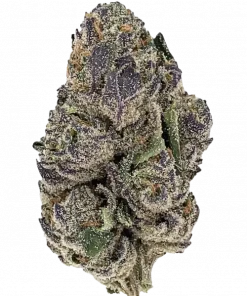 Roswell Code, sert yakıtımsı ve meyvemsi notalarıyla öne çıkan Indica baskın bir türdür. Yüksek THC içeriğiyle bilinir. Genetik yapısını keşfedin.