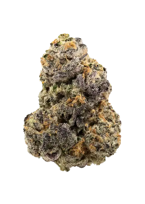 Route 65, tatlı meyve aromaları ve yüksek THC içeriğiyle bilinen Indica baskın bir türdür. Yaratıcılığı ve rahatlamayı bir arada sunar. Keşfedin.