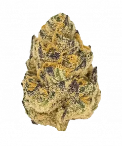 Royal Flush, topraksı aroması ve yüksek THC içeriğiyle öne çıkan Sativa baskın bir türdür. Enerji veren ve yaratıcılığı tetikleyen etkilerini keşfedin.