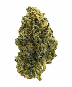 Royal Hulk, yakıtımsı ve meyvemsi aromalarıyla öne çıkan Indica baskın bir türdür. THC ile depresyon ve stresi azaltmaya yardımcıdır. Özelliklerini keşfedin.