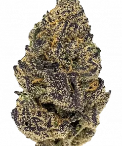 Royal Runtz, benzersiz meyvemsi aroması ve 'e varan THC içeriğiyle öne çıkan dengeli bir hibrit türdür. Zkittlez ve Gelato genetiğini keşfedin ve etkilerini görüntüleyin.