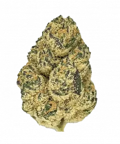 Rozé, çilek aroması ve yüksek THC içeriğiyle bilinen Indica dominant bir türdür. Stres ve depresyona iyi gelir. Bu eşsiz türü keşfedin.