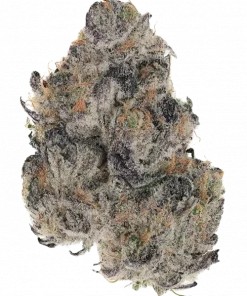 RS1000, tropikal meyve aromaları ve yüksek THC içeriğiyle öne çıkan Indica dominant bir türdür. Depresyon ve stresi azaltmaya yardımcı olabilir. Özelliklerini keşfedin.