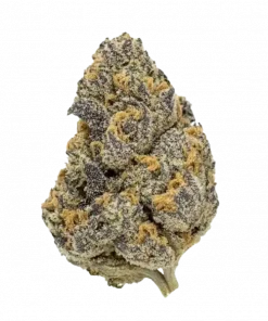 RS11, yakıtımsı aroması ve dengeli yapısıyla öne çıkan bir hibrit türdür. -25 THC içerir. Ağrı ve uykusuzluğa iyi gelir. Özelliklerini keşfedin.