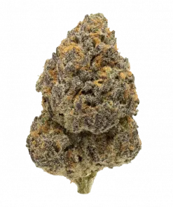 RS11 x Coffin Candy, tatlı meyve aromaları ve yüksek THC içeriğiyle bilinen Indica dominant bir türdür. Uykusuzluk için ideal. Genetik yapısını keşfedin.