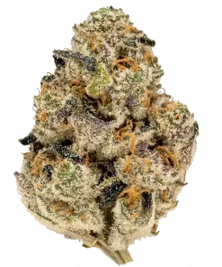 RS11 x Sour Face, narenciye aromaları ve yüksek enerjisiyle bilinen Sativa baskın bir türdür. Stres ve yorgunluğa karşı potansiyel faydalarını keşfedin.