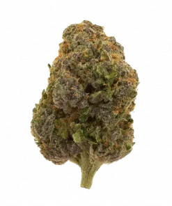 RS54 x Coffin Candy, yüksek THC ve çilek aromasıyla öne çıkan dengeli bir hibrit türdür. Stres ve uykusuzluğa karşı potansiyelini keşfedin. Hemen görüntüleyin.